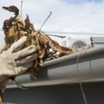 Gutter Cleaning