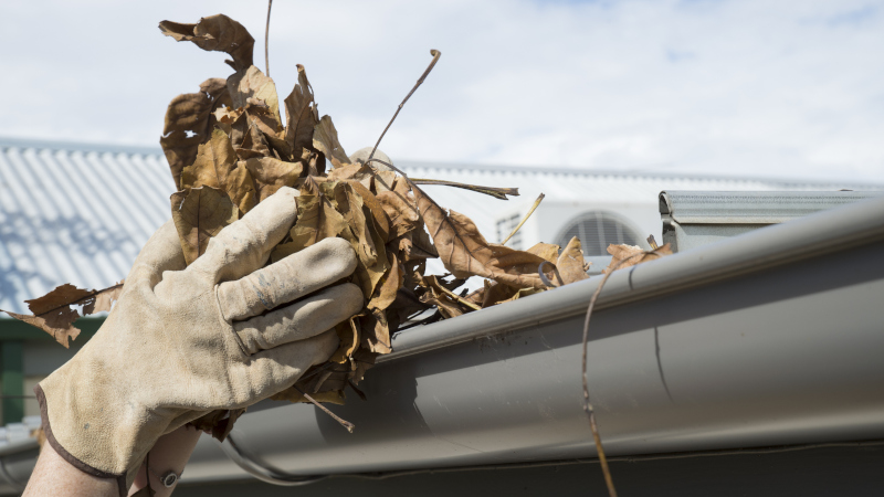 Gutter Cleaning in Houston, Texas