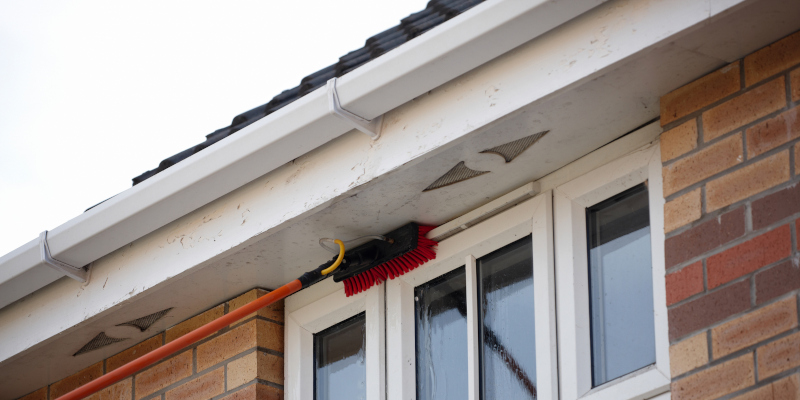 Signs Your Home Needs Exterior House Cleaning Sooner Than You Think